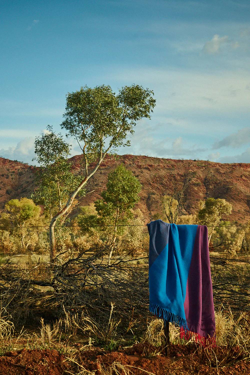 Fiona Lynch Desert Field Throw | Sonder - Image 3