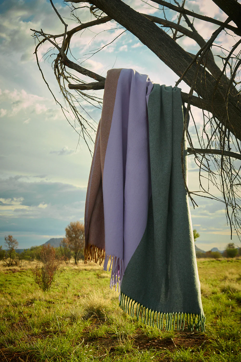Fiona Lynch Desert Field Throw | Standley - Image 3